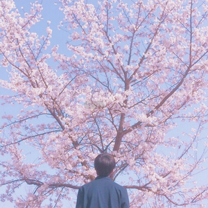 毛多女毛茸茸的撒尿
